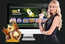 667bet11